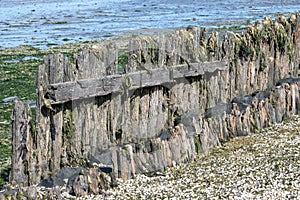 Old weathered wooden fence by a beach on a sunny day
