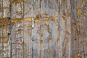 Old weathered wooden fence covered with yellow paint flakes . Rustic style wood texture