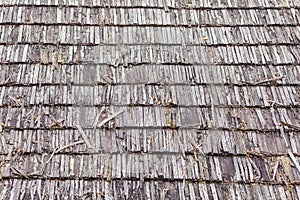 Old weathered wooden gray shingle