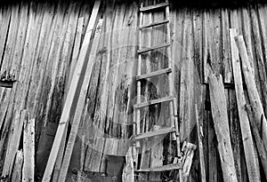 Old weathered wooden ledder in front of barn almost ruined. Black and white