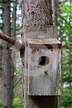 Old weathered worn bird house