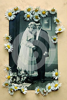 Old wedding photo with daisies