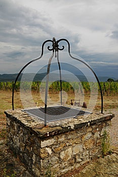 Old Well Wineyard in Chianti in Tuscany