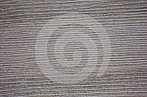 Old wenge oak, natural dark wood surface with white textured stripes close-up