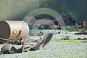 Old whaling station on Stromness, Antarctica photo