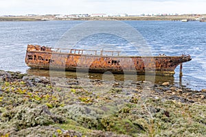 old whaler wreck in Whalebone Cove off Stanley in the Falkland Islands. Stanley in the background photo