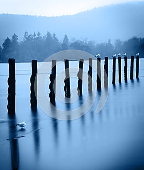 Old wharf posts - artistic photo