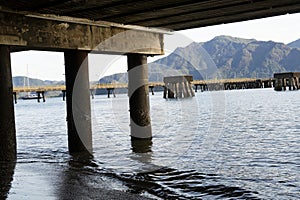 Old wharves and pylons at Lucinda in North Queensland, Australia. photo
