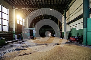 Old wheat grain storage in the hangar