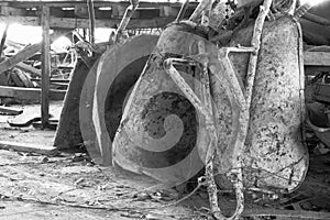 Old wheel barrows / black & white picture