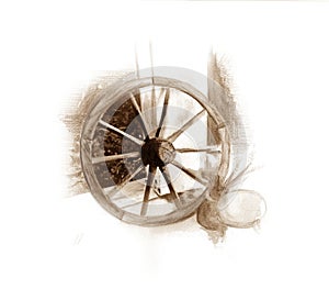 Old wheel illustration