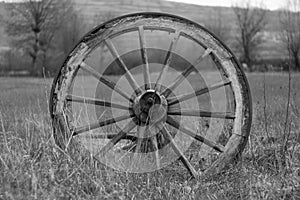 Old wheel of waggon 2