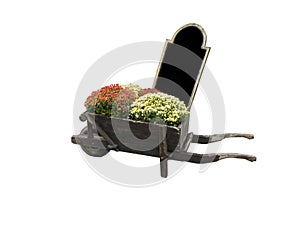 Old wheelbarrow with flowers and a chalk board