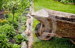 Old wheelbarrow on grass