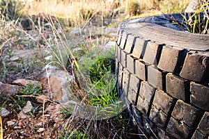 Old wheels of unrecycled cars thrown in a natural field pollute the earth