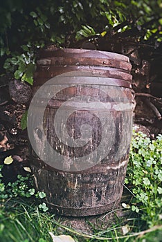 Old Whiskey Barrel