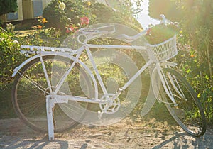 Old white bicycle and flower in  garden