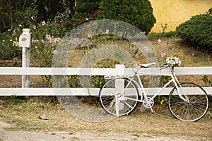 Old white classic vintage retro bicycle exterior decoration furniture of garden outdoor and flowers for travelers travel visit