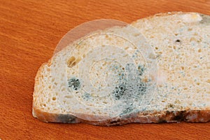 The old white mold on the bread. Spoiled food. Mold on food.