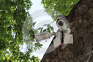 old white outdoor video surveillance cameras installed in several directions for easy monitoring of order in the Park photo