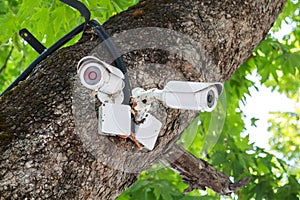 old white outdoor video surveillance cameras installed in several directions for easy monitoring of order in the Park