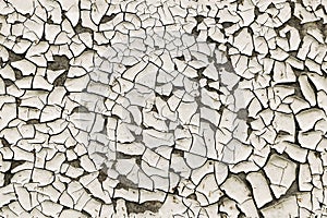 The old white paint was cracked textura seamless photo