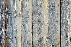 Old white painted exfoliate rustic bright light wooden texture