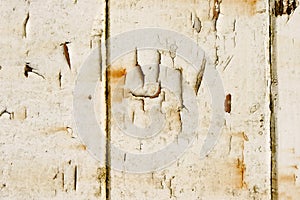 Old White Peeling Paint