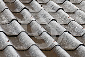 Old white roof sheet  ,  Asbestos cement roofing sheets