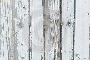 Old white rustic wood background