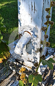 Old white water spigot extending out of the wood frame surrounding the  the cylinder