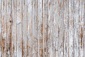 Old white weathered rustic wood texture with copy space wooden rough retro design pattern background