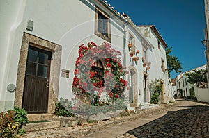 Old whitewashed houses and flowered shrubs in cobblestone alley