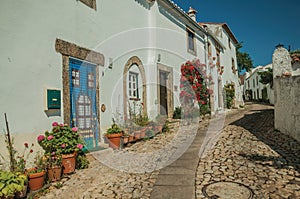 Old whitewashed houses and flowered shrubs in cobblestone alley