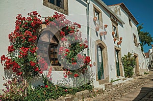 Old whitewashed houses and flowered shrubs in cobblestone alley