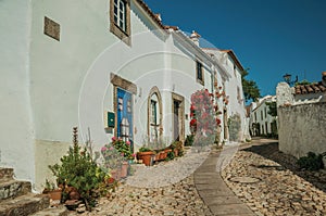 Old whitewashed houses and flowered shrubs in cobblestone alley