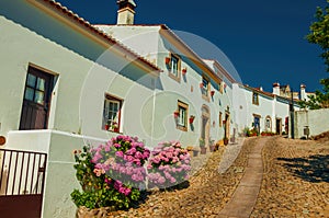 Old whitewashed houses and flowered shrubs in cobblestone alley