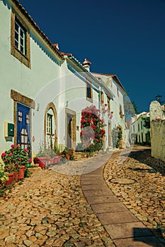 Old whitewashed houses and flowered shrubs in cobblestone alley