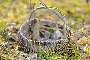 Old wicker basket