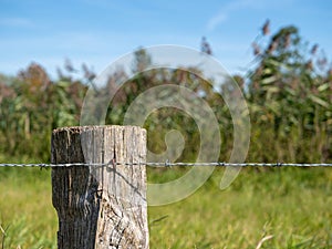 Old wicker fence post, wood pile with tensioned barbed wire