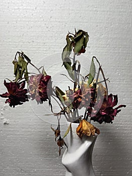Old wilted flowers in a vase