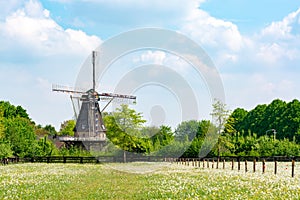 Old wind mill and pasture with wild blossoming flowers, Dutch countryside landscape