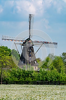 Old wind mill and pasture with wild blossoming flowers, Dutch countryside landscape