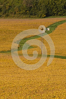 Old Windmill In A Bean Field