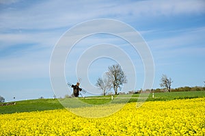 Old windmill at a blossom rapeseed field