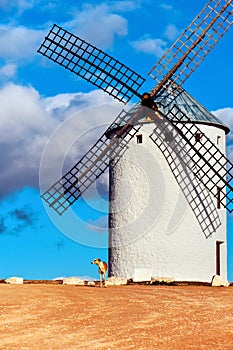 Old windmill in Campo de Criptana, Spain