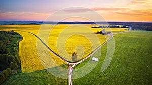Old windmill in canola Flowering Field at spring sunrise. Aerial rural panorama