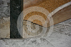 An old windmill grinding wheat