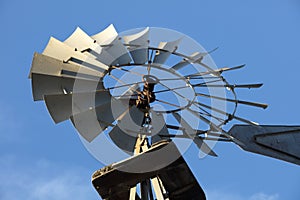 Old Windmill in Leo Carrillo Park