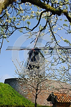 Old windmill in Netherlands, spring season